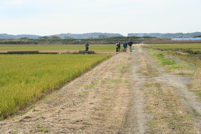 田んぼ地帯の途中で昼食を取った場所での写真