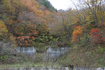 紅葉が美しかった別の堰堤付近の写真