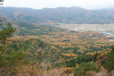大権首峠から見た大平山方面の写真