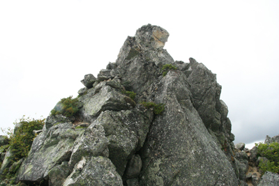 蛙岩と思われる岩の写真