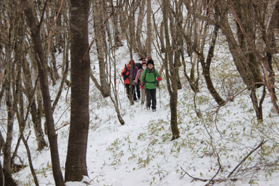 北側斜面に積もった５㎝ほどの雪の上を歩いている写真
