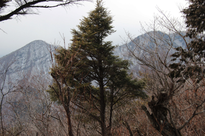 曲岳山頂から見た茅ヶ岳と金ヶ岳の写真