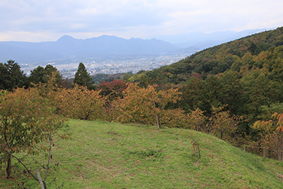 箱根の矢倉岳方面の写真