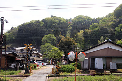 大渕寺と護国観音の写真