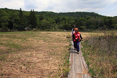 玉原湿原の木道を歩いている写真