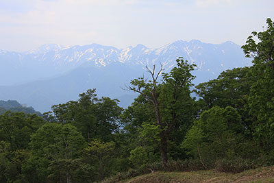 谷川連峰の写真