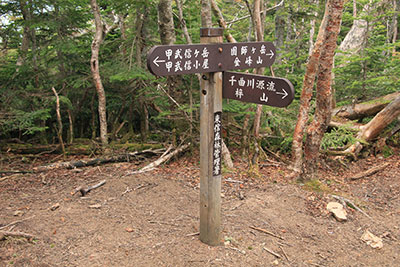国師ヶ岳方面への分岐標識の写真