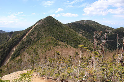 木賊山の下りから見た甲武信ヶ岳と三宝山の写真