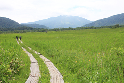 下田代十字路から見た尾瀬ヶ原と至仏山の写真