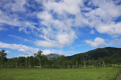 尾瀬ヶ原の上に広がる青空と雲の写真