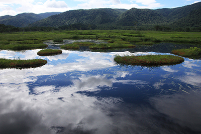 池塘と池塘に映る雲と青空が作るおもしろい風景の写真