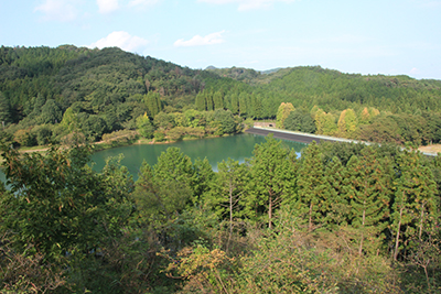 展望台から見た赤川ダム湖の写真