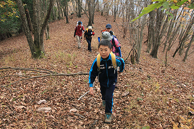 歩きやすい道を東御荷鉾山に向けて登っている写真
