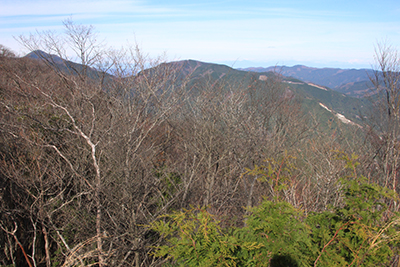 武甲山と武川岳の写真