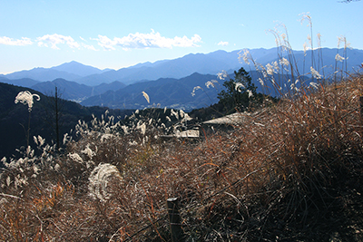 景信山山頂直下から見た丹沢方面の写真