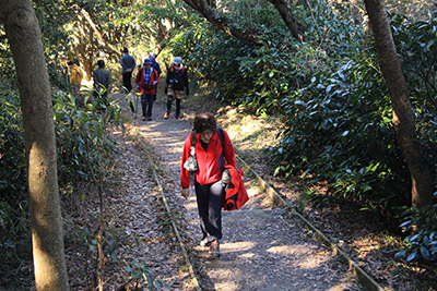 大楠芦名口から林道を歩き、山頂直下の階段を登っている写真