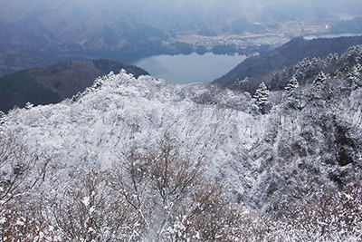 仏果山山頂の展望台から見た雪化粧した木々と宮ヶ瀬湖の写真