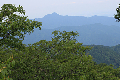 東峰の展望台から見た大岳山の写真