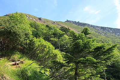 登山道から見上げた硫黄岳と赤岩の頭付近の写真