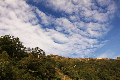 抜戸岳方面の空に広がる巻積雲の写真