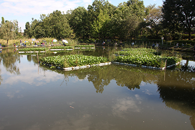 川口自然公園の池の写真