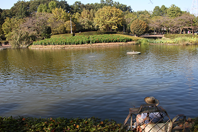 さぎ山記念公園の池の写真