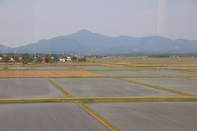 ほくほく線の車窓から見た水田と米山の写真