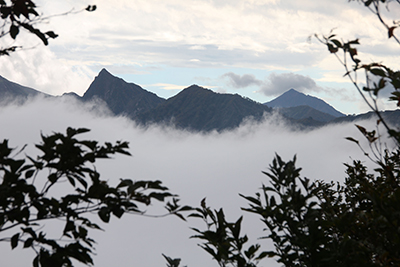 雲海の上に見える大源太山と万太郎山の写真