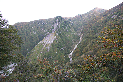 展望台から見た天狗岩と割引岳、ヌクビ沢の写真