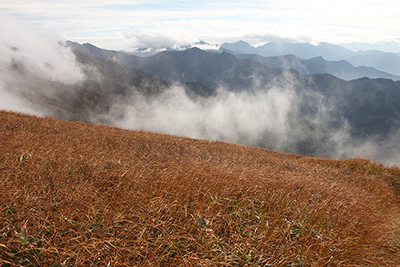 ニセ巻機の草紅葉と上越国境の山々の写真