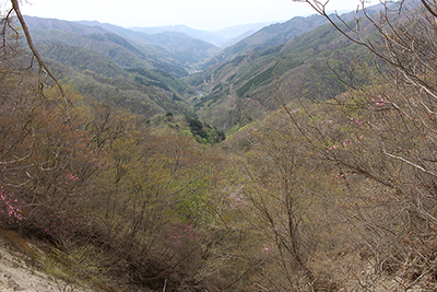 神子内川の下流方面の風景の写真