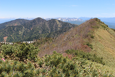 白砂山山頂から見た谷川岳、尾瀬方面の写真