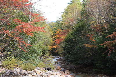 西俣沢と沢沿いの紅葉の写真