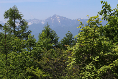 最初の展望台から見た甲斐駒ヶ岳と仙丈岳の写真