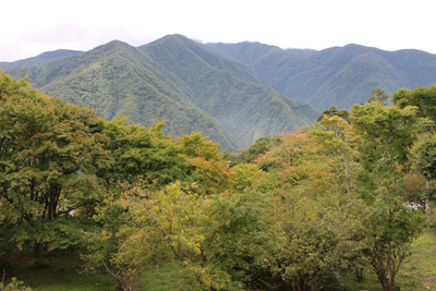 三峰神社から見た和名倉山の写真