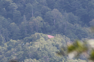 登山道から見えた雲取山荘の屋根の写真