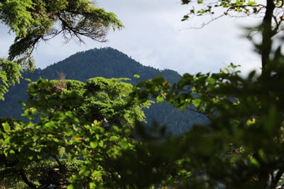 雲取山の山頂部の写真