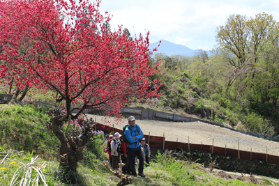 赤い花の木の下を歩いているメンバーの写真