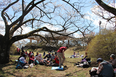 桜の木の下で昼食中の写真