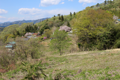 桜や新緑が美しい山里の写真