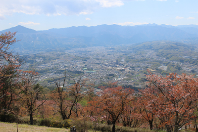 武甲山と奥秩父方面の写真