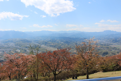 両神山から雲取山までの展望写真