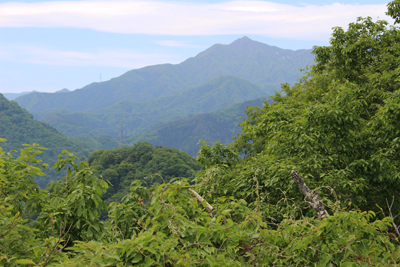 山頂から見た滝子山の写真