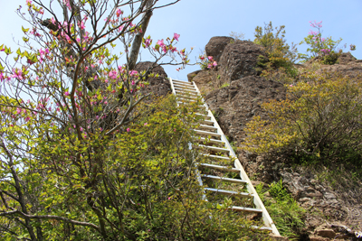 山頂直下の長い梯子の写真