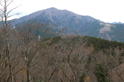 鷹取山山頂から見た大山と大山三ッ峰の写真