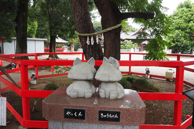 松と栴檀が寄り添った縁結びの木とキツネの寄り添っている石像の写真