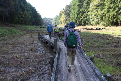 湿性花園の木道を歩いているメンバーの後ろ姿の写真