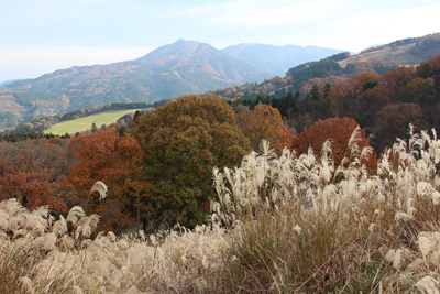 ススキと笠山、堂平山の写真
