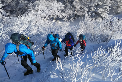 樹氷の中の登山道を登っている写真