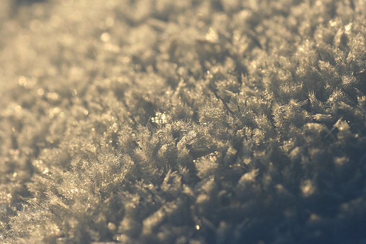 天狗岳で撮影した朝日に染まった氷の結晶の写真
